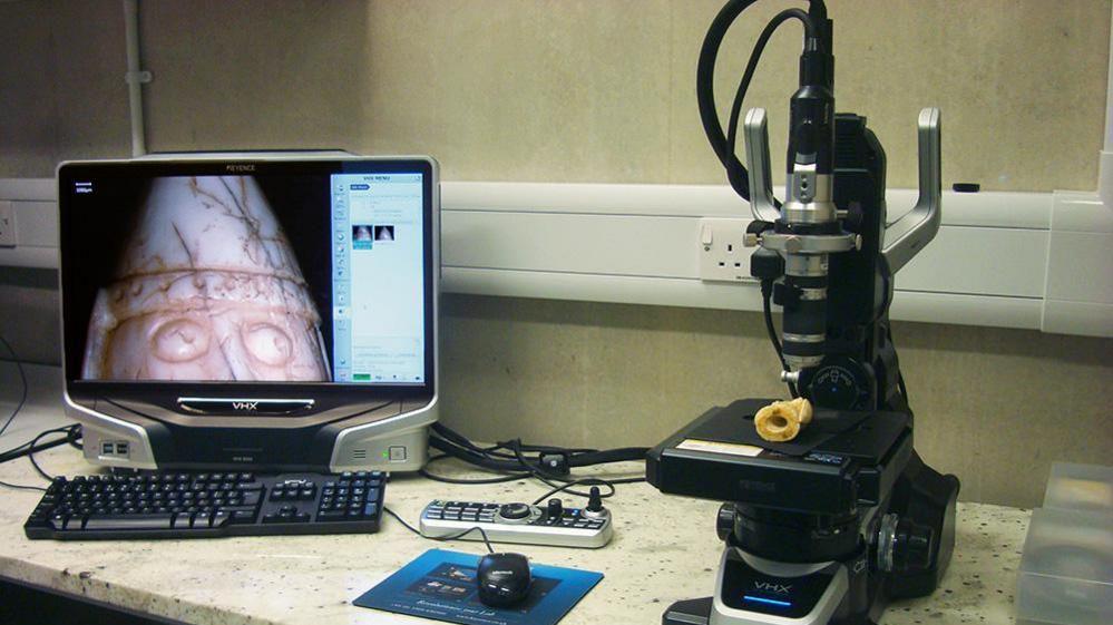 Fear de na fir-tàileisg fo mhìocrosgòp