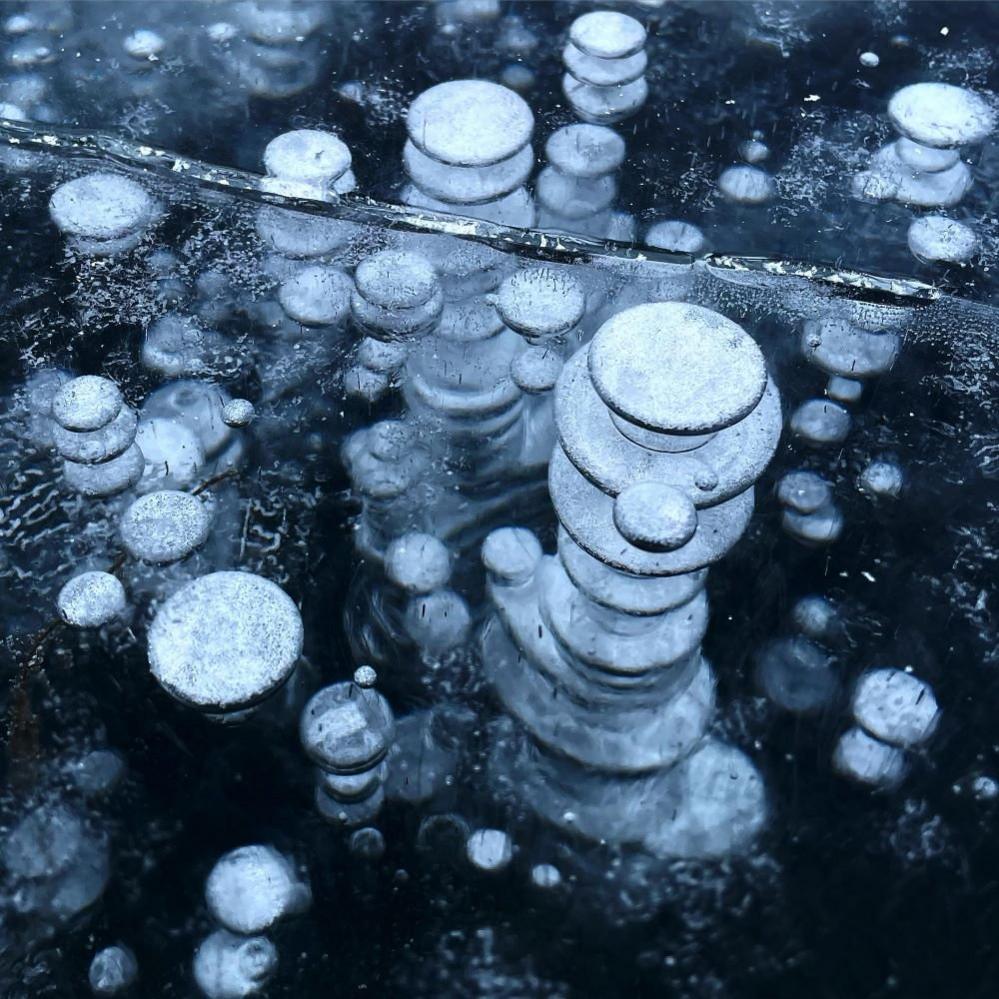 Methane bubbles in Vaseux Lake, Vaseux-Bighorn National Wildlife Area, British Columbia, Canada