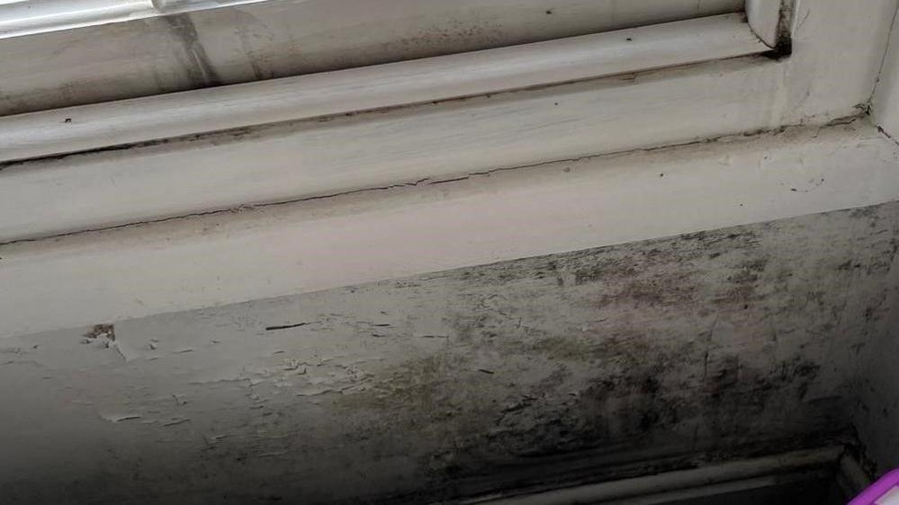 Mould on wall under window