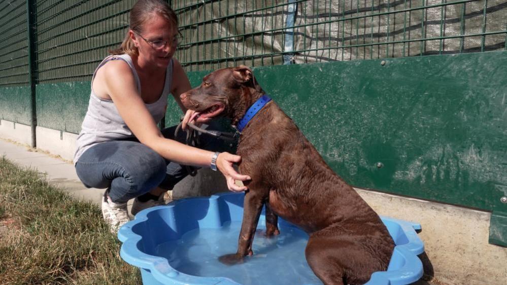Audrey Collin, kennel team leader, pets a dog named Tatane cooling off in a plastic paddling pool at the SPA animal shelter in Gennevilliers, near PariS