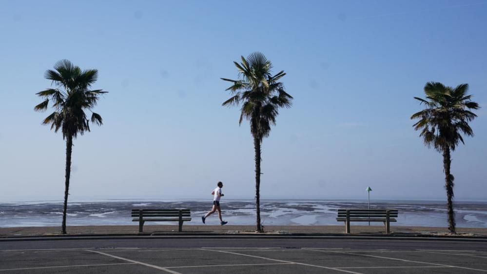 A man jogging along the seafront, there are three palm trees and two benches near him as well as the sea in the background looking calm