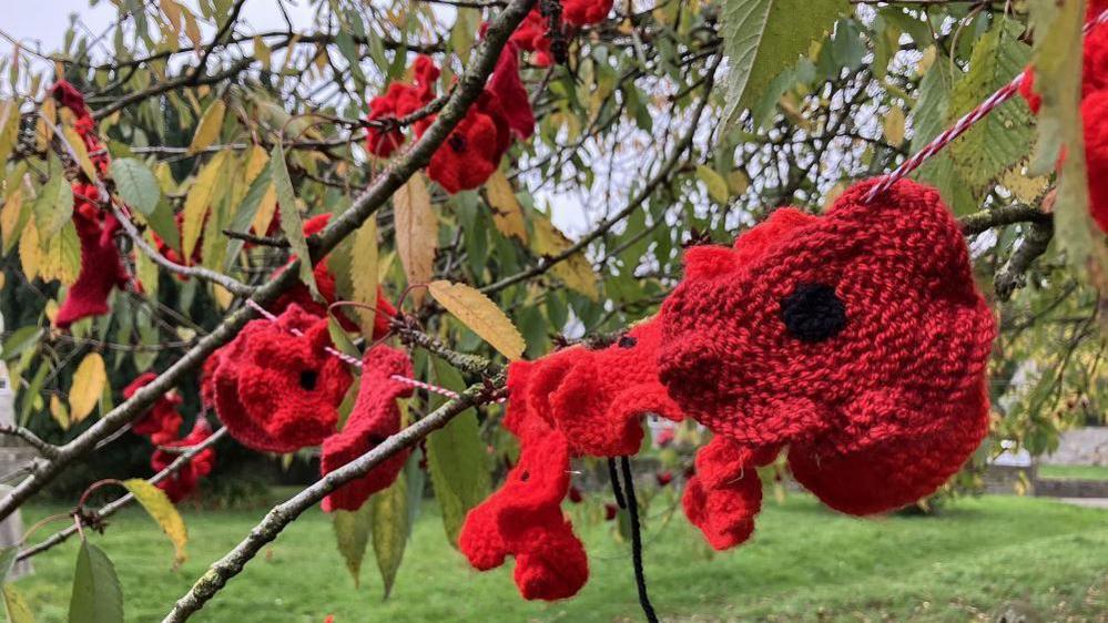 Knitted and crocheted poppies in the branches of a tree.