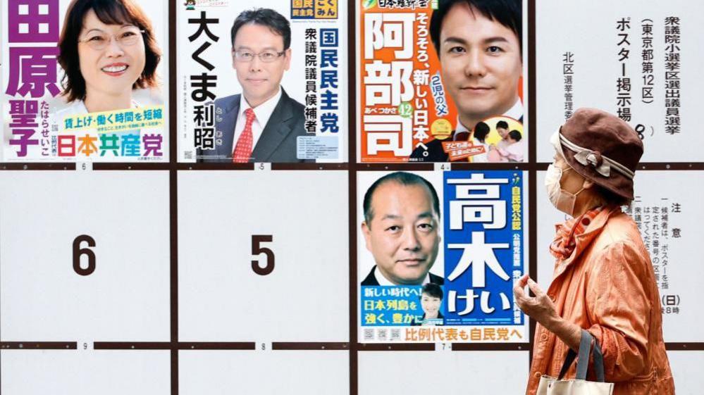 A woman walks past a board displaying campaign posters of candidates running for the upcoming general elections in Tokyo, Japan, 25 October 2024. 