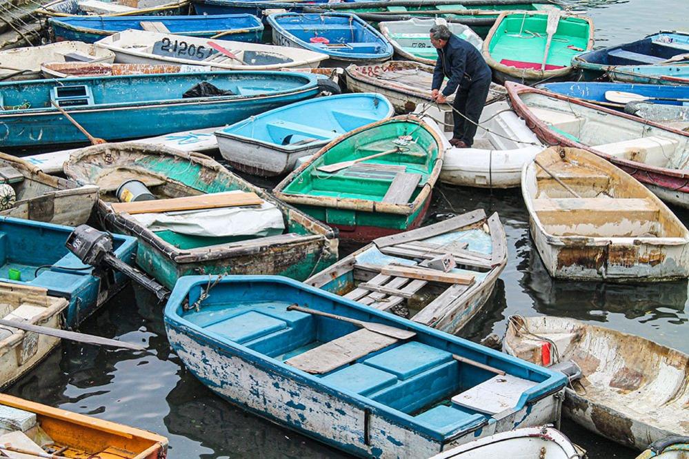 Boats in a harbour