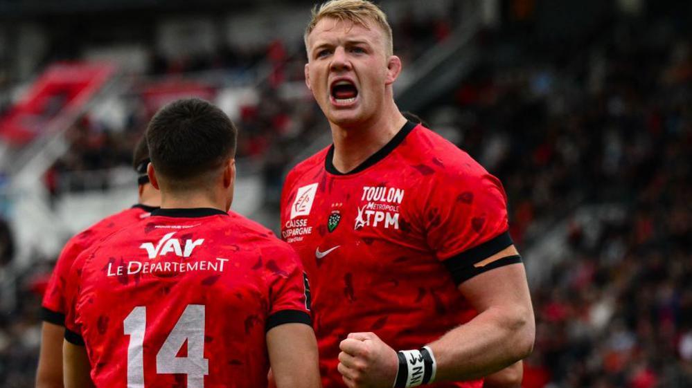 David Ribbans celebrates for Toulon