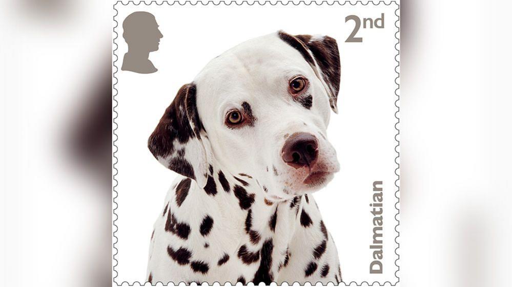 dalmation stamp