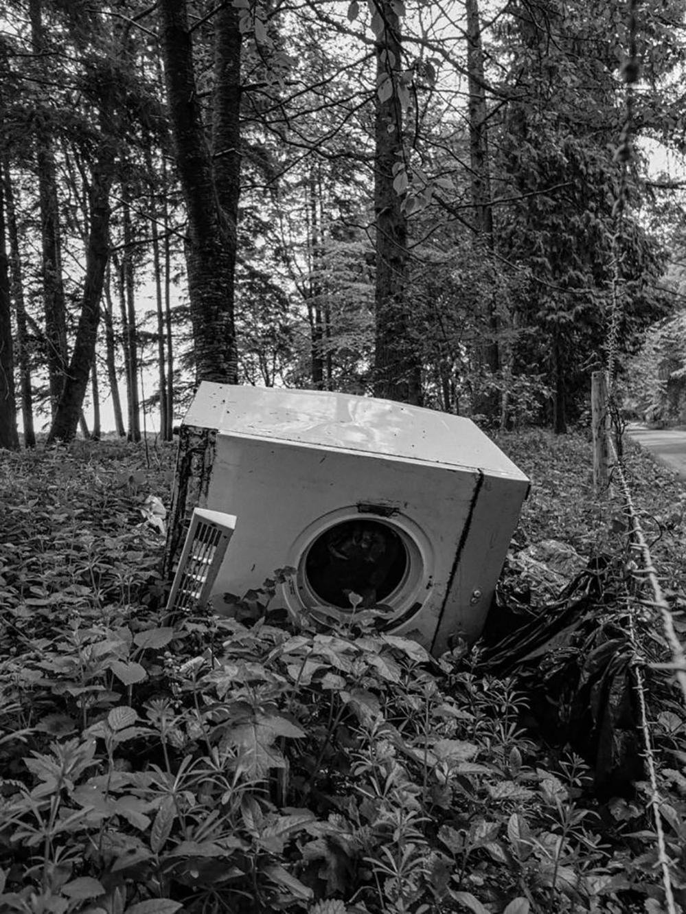 Washing machine in the woods