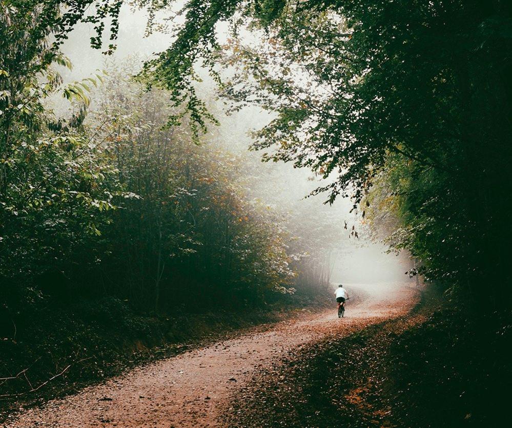 Cyclist in woods