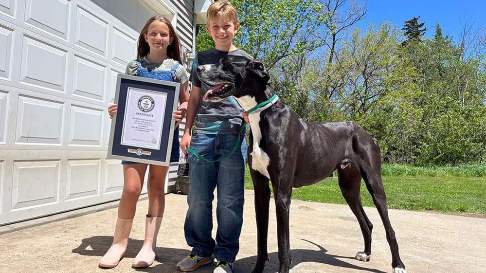 kevin the dog, with two kids