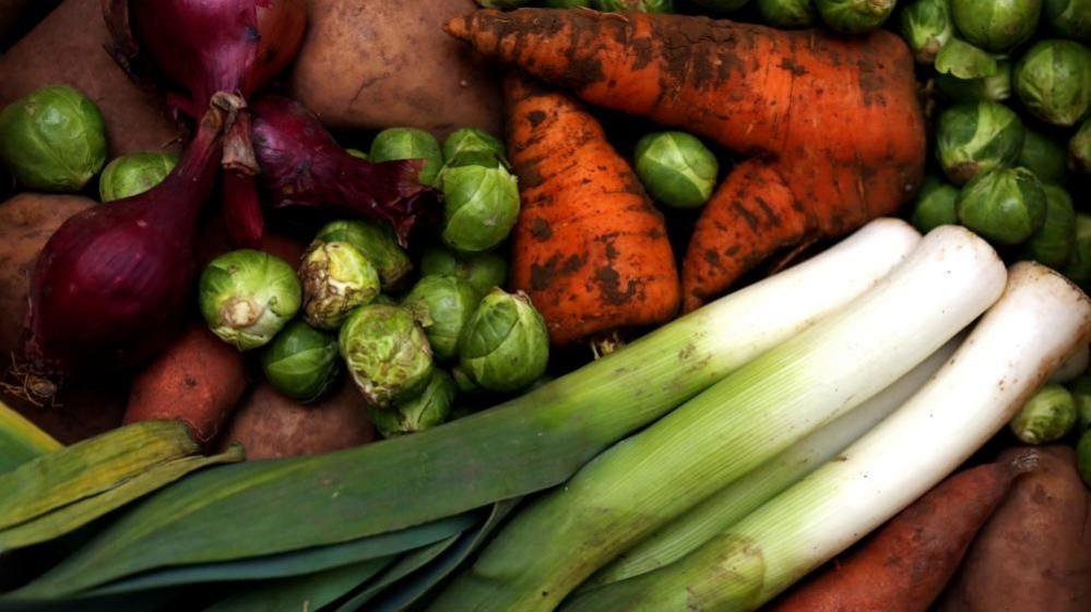 Fresh vegetables piled on top of one another. Green leeks and sprouts, red onions and orange carrots