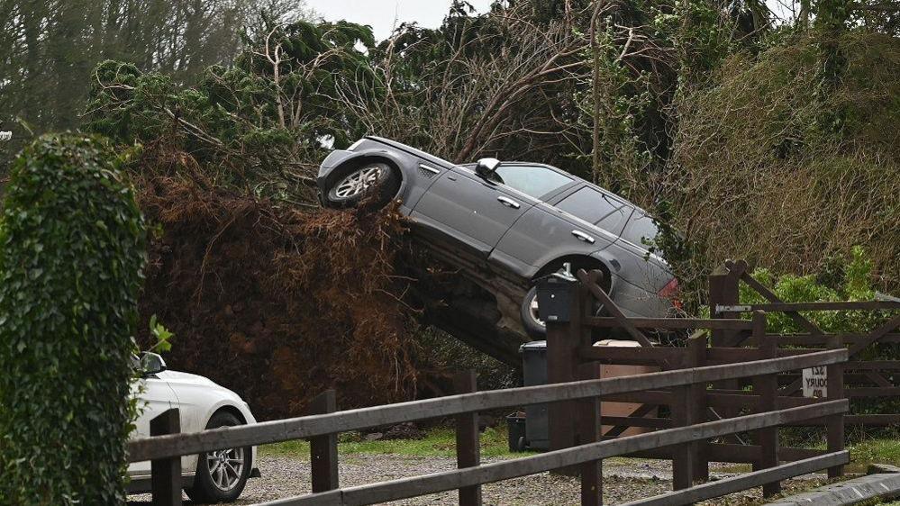 A black car half-suspended mid air, wrapped in a large fallen tree, a fence and parked white vehicle are also visible