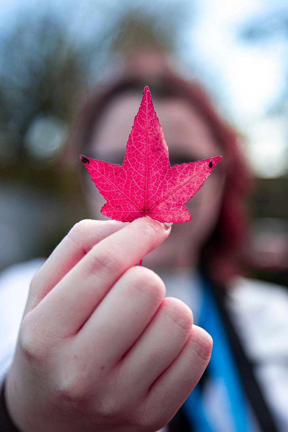 Woman holding a leaf