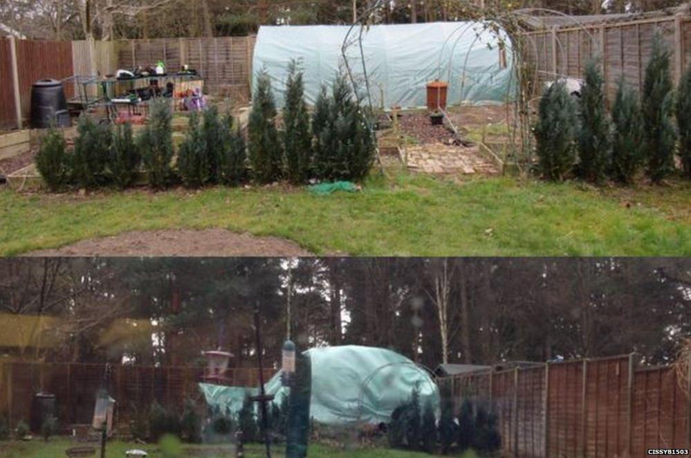 @cissyb1503 on Instagram posted her greenhouse before and after Storm Katie hit in Fleet, Hampshire.