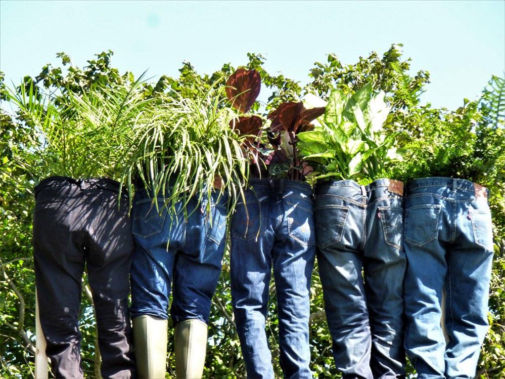 Plant holders made from old pairs of jeans