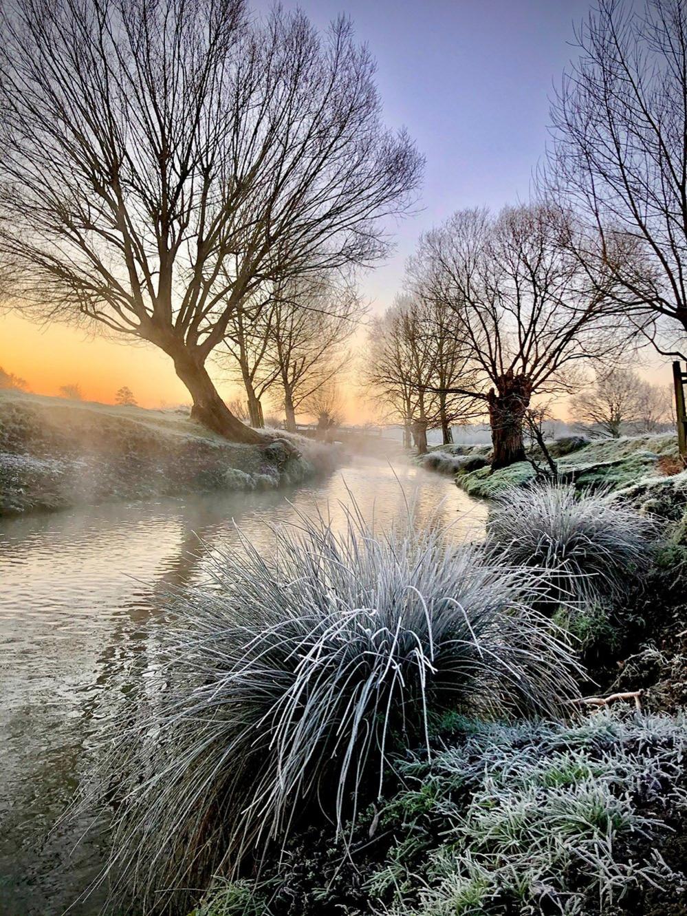 Frozen landscape