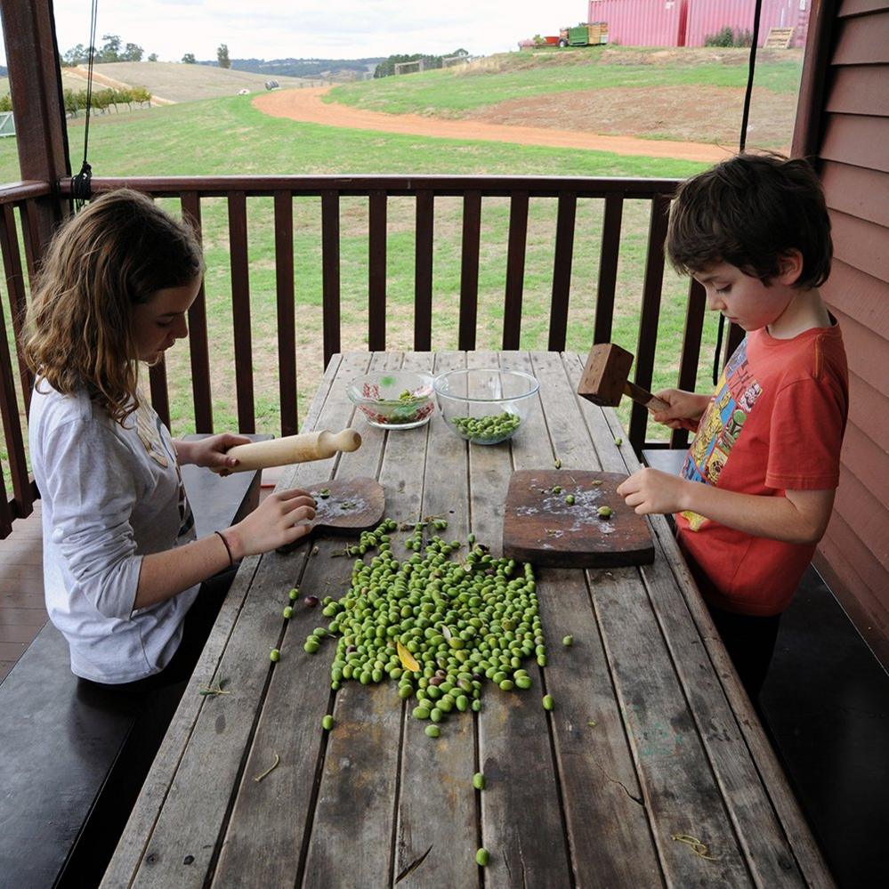 Children sorting peas