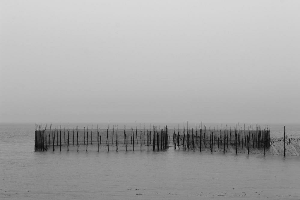 Fishing pier in mist