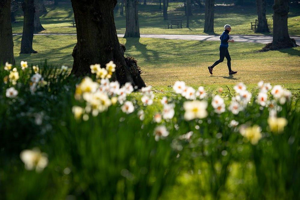 A jogger at Cannon Hill Park in Birmingham