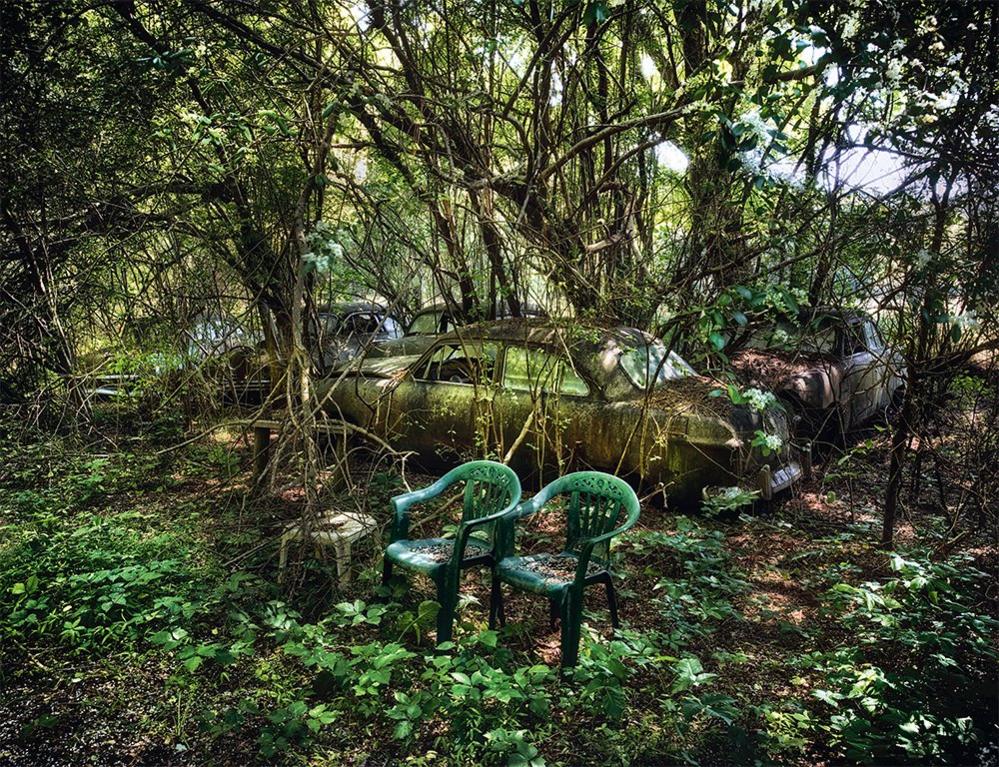 Abandoned cars in a forest