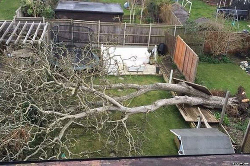 This aerial view taken by @becksworth on Instagram shows us Storm Katie destruction in her garden in Portsmouth, Hampshire.