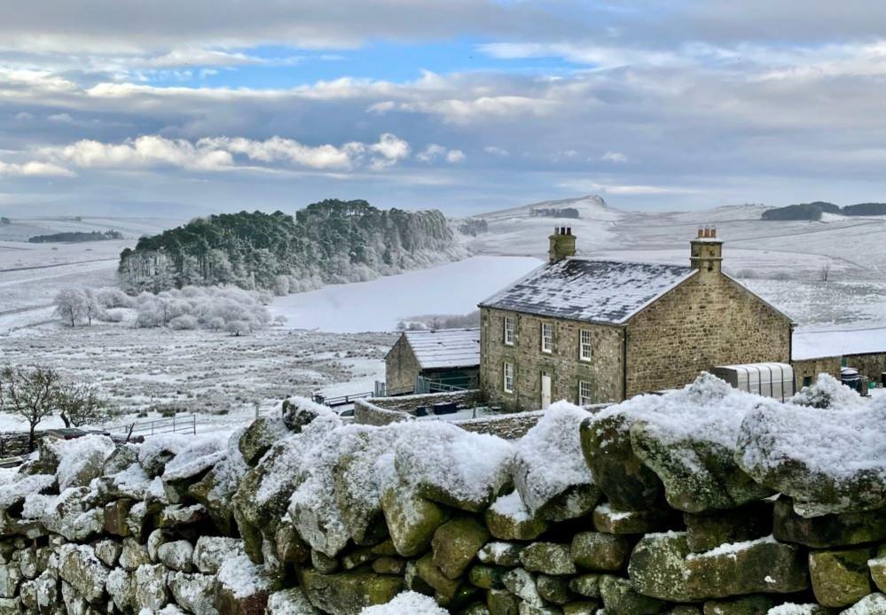 Hot Bank Farm in snow