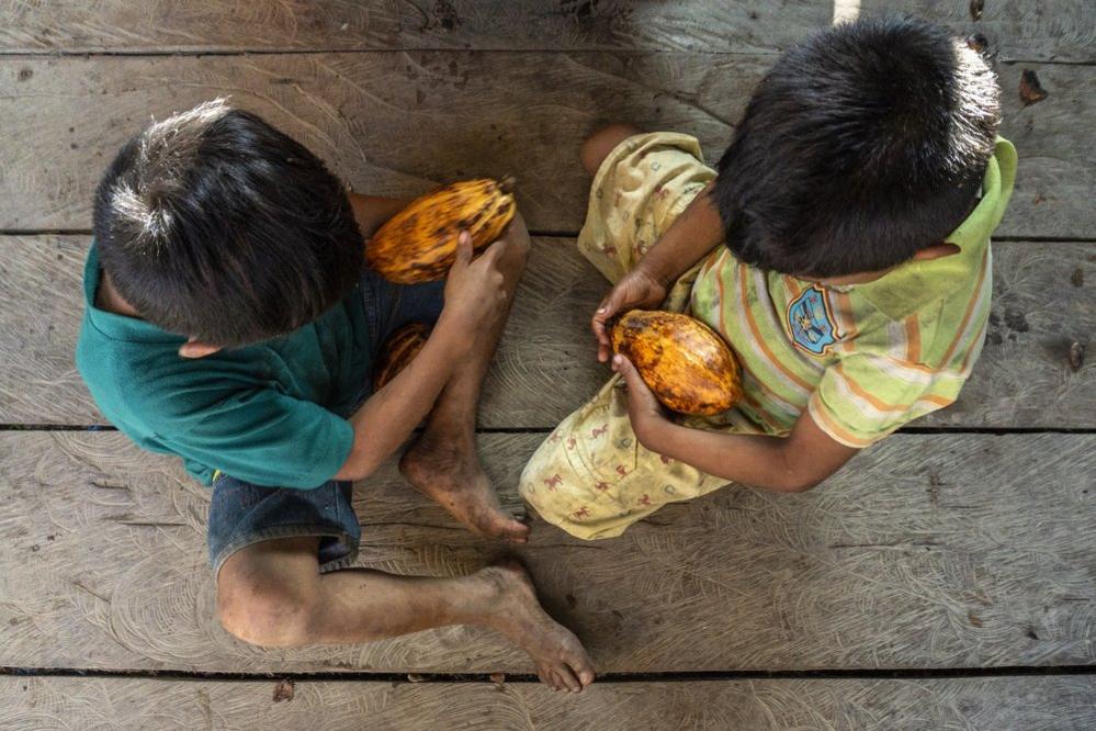 Children in the Waikas community play with cocoa pods