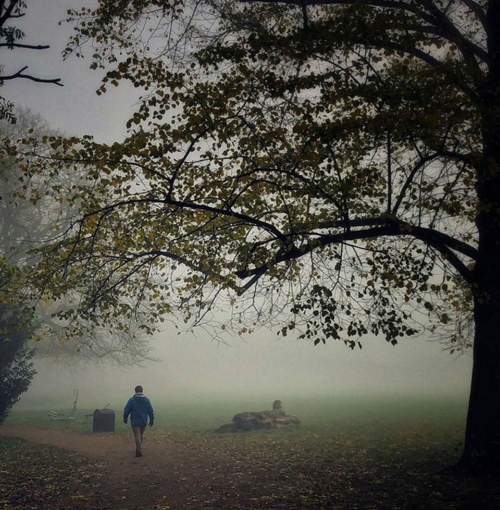 Walking in the mist