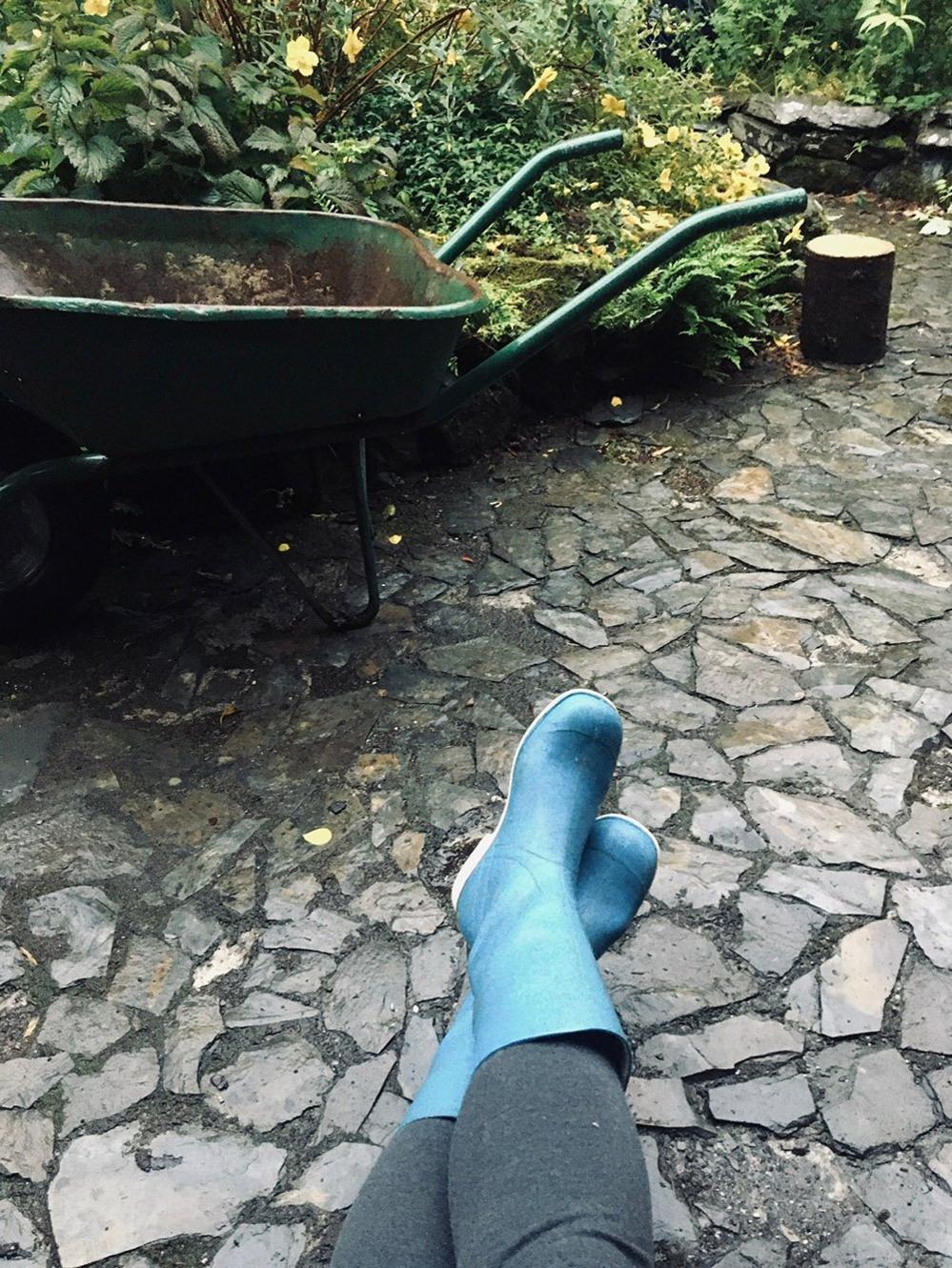 Blue wellington boots