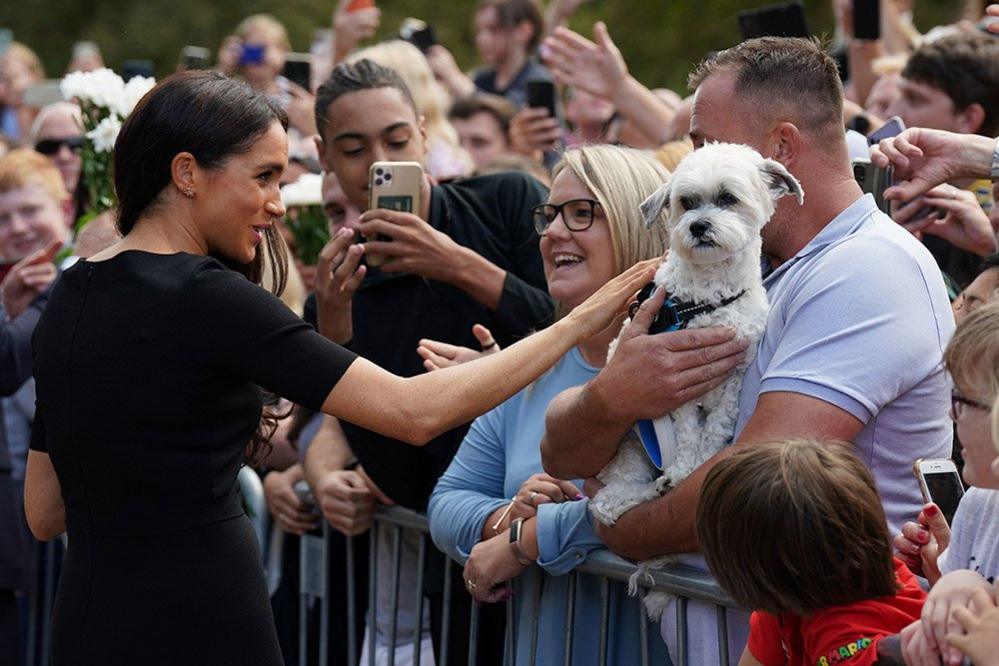 The Duchess of Sussex meeting members of the public at Windsor Castle