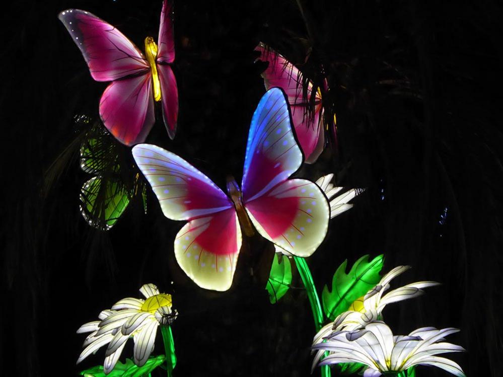 Butterfly lantern