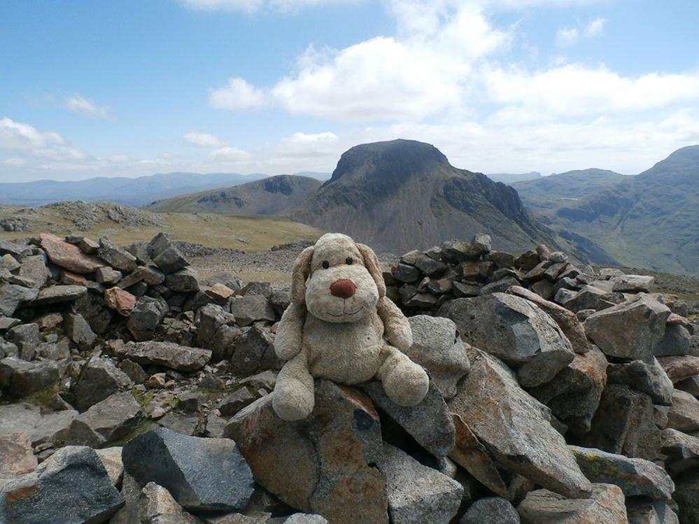 Toy dog on a mountain