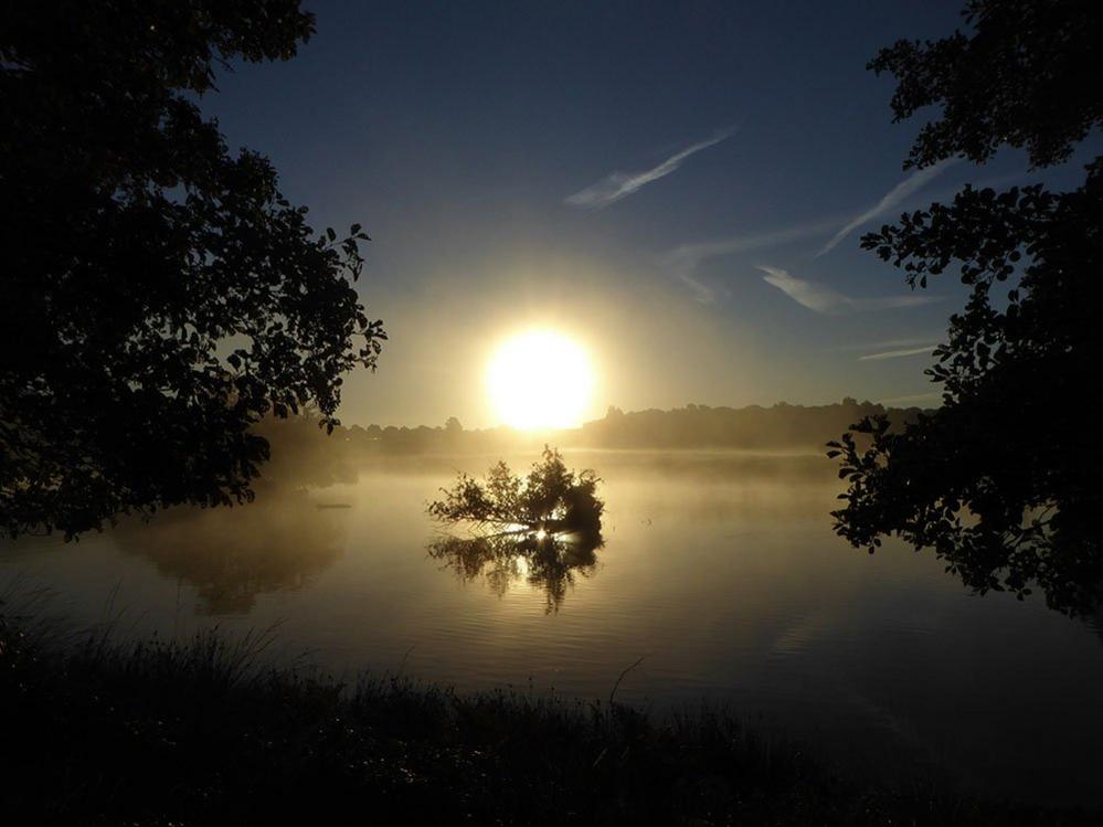 Sun rising over a pond