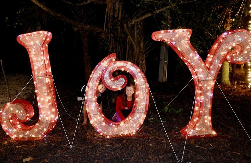 Illuminated letter spelling joy