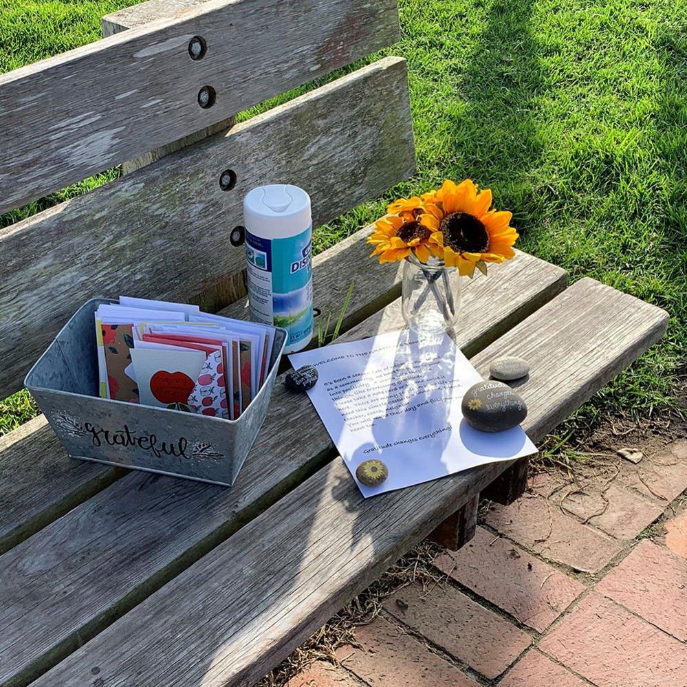 Cards on a bench