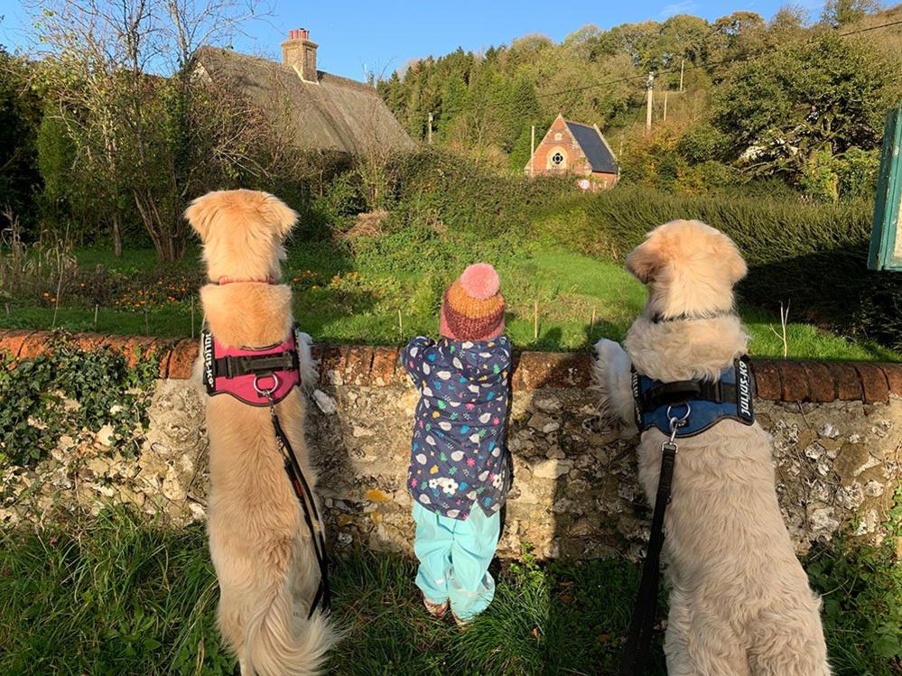 Girl and two dogs