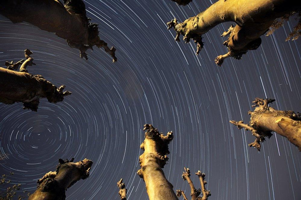 Star trails over Portishead, North Somerset - also seen at three small meteors