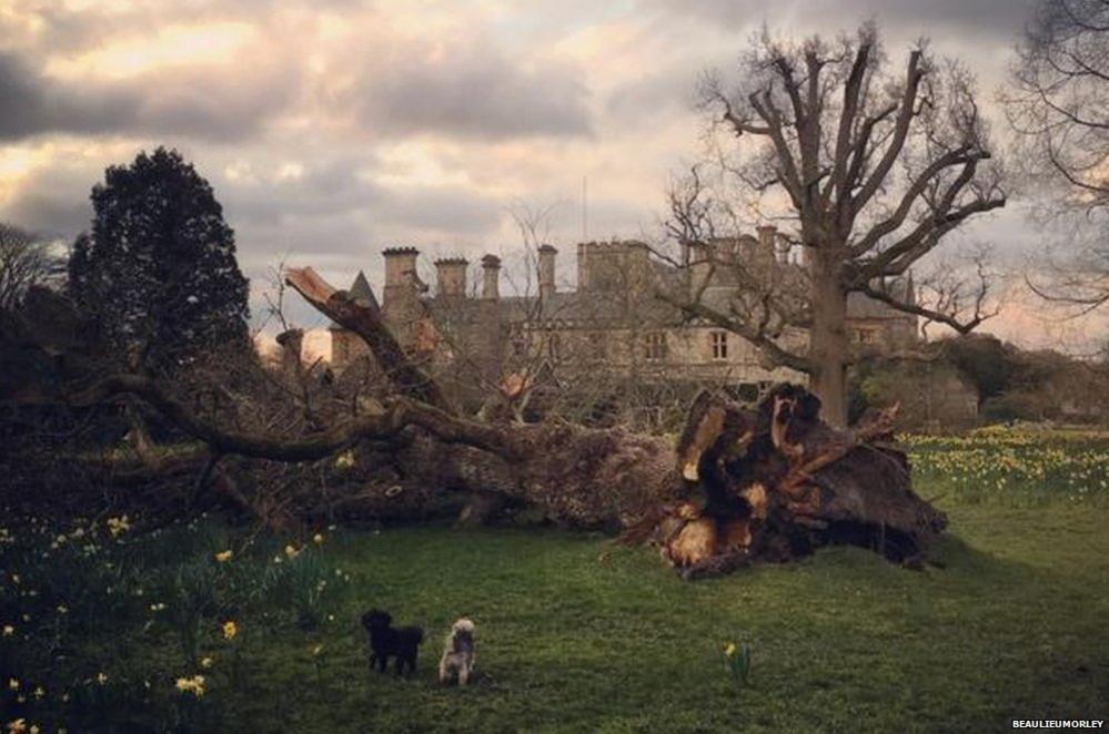 Beaulieu Palace House after Storm Katie hit. Credit: @Beaulieumorley on Instagram