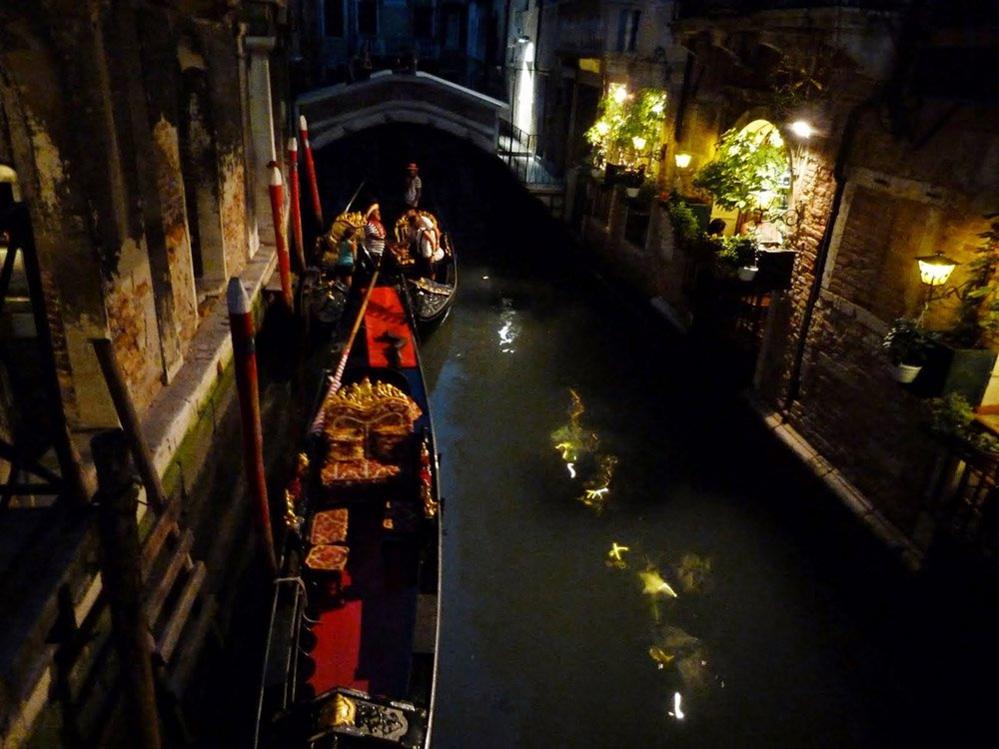 Vince canal at night