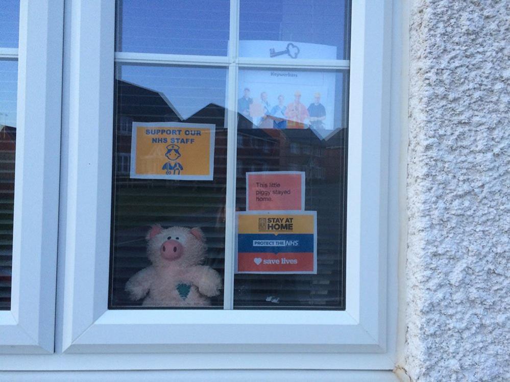 Toy pig in the window