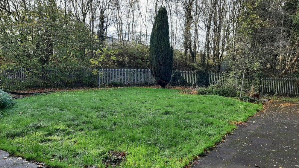 Clean-up at Burns Avenue, Tipton. It is an overgrown green space with silver fencing around the edge.