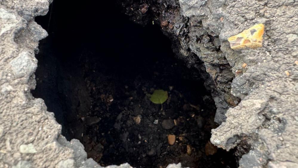 A view into a sink hole shows gravel and some leaves, with the road surface forming an edging.