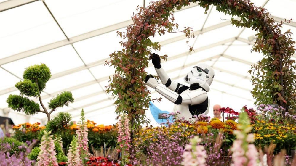 Someone dressed in a Star Wars Stormtrooper costume stands under an arch made of vines and surrounded by colourful flowers.