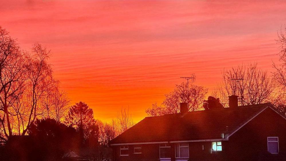 Stripes of red, yellow, orange and dark blue can be seen above the roof of two semi-detached homes. Beside them, the bare branches of trees are silhouetted against the colours.