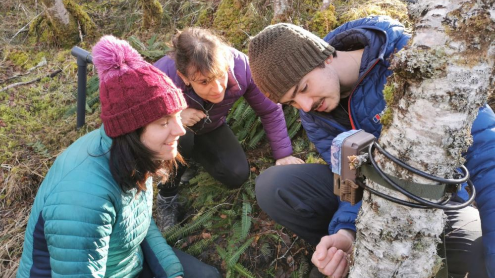 Students and project volunteers checking camera traps in the release area.