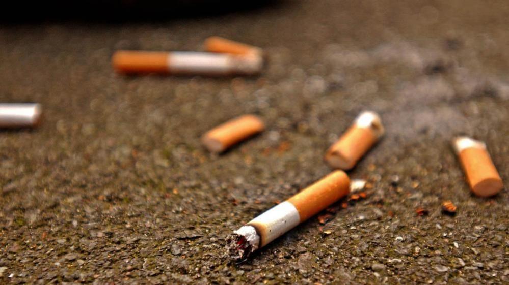 A stock image of cigarette butts on the street.