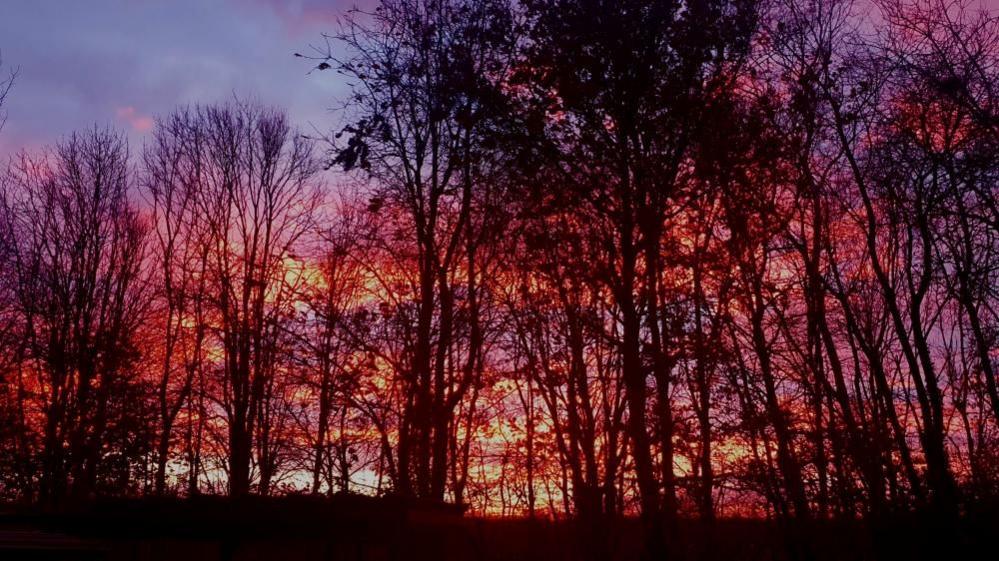 An bright orange, purple and blue sky can be seen behind trees