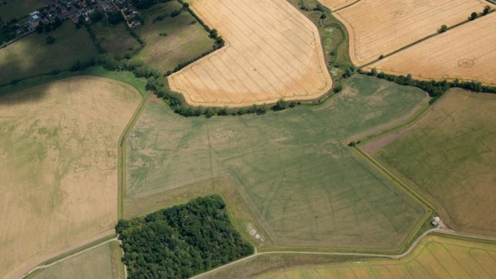 An aerial photograph of fields and woodland where remains of a Roman town were found. There are dark outlines on the ground where various buildings would have been.