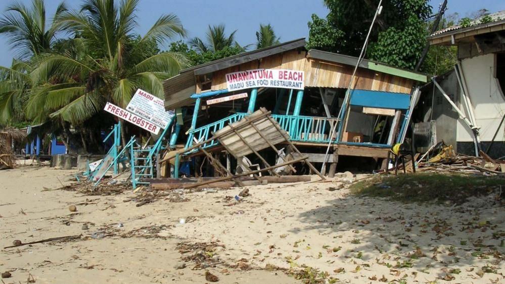 A wrecked beach restaurant on a brown beach, surrounded by palm trees. There are signs advertising fresh lobster and seafood