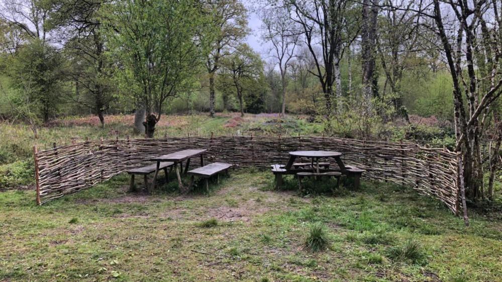 Benches built by participants of the Wiltshire Wellbeing in Nature scheme