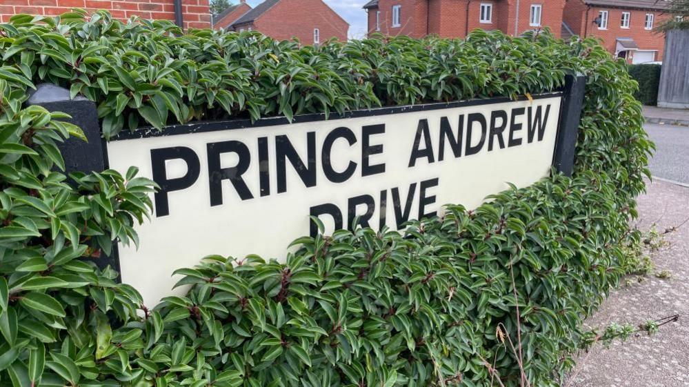 A close up of a sign that reads: "Prince Andrew Drive". It is surrounded by greenery and a number of red-brick houses can be seen in the background.
